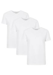 Trójpak białych T-shirtów męskich basic ZESMT-0040-11(Z23)