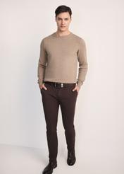 Camelowy bawełniany sweter męski SWEMT-0114A-24(Z25), produkt widoczny od przodu na modelu, widoczna cała sylwetka.