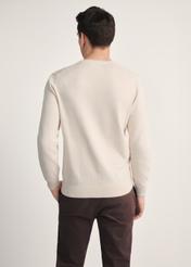 Beżowy sweter męski z logo SWEMT-0159A-80(Z25) - widok produktu z tyłu na modelu na białym tle. Widoczna sylwetka do kolan.