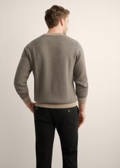 Ciemnobeżowy sweter męski we wzory SWEMT-0195-1D(Z26), widok produktu z tyłu na modelu. Widoczna połowa sylwetki.