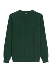 Zielony bawełniany sweter męski SWEMT-0114A-8C(Z26), widok produktu z przodu na białym tle.