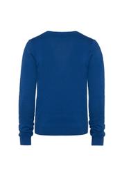 Sweter męski SWEMT-0081-69(W21)