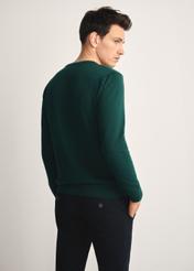 Zielony sweter męski basic SWEMT-0114A-54(Z25), widok produktu od tyłu na modelu, widoczna połowa sylwetki.