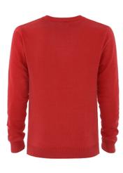 Sweter męski SWEMT-0081-42(W21)