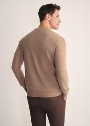 Camelowy sweter męski SWEMT-0186-24(Z25), widok produktu z tyłu na modelu. Widoczna połowa sylwetki.