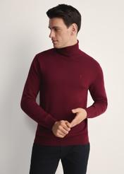 Bordowy sweter męski z golfem SWEMT-0095B-49(Z25), widok produktu z przodu na modelu. Widoczna połowa sylwetki.