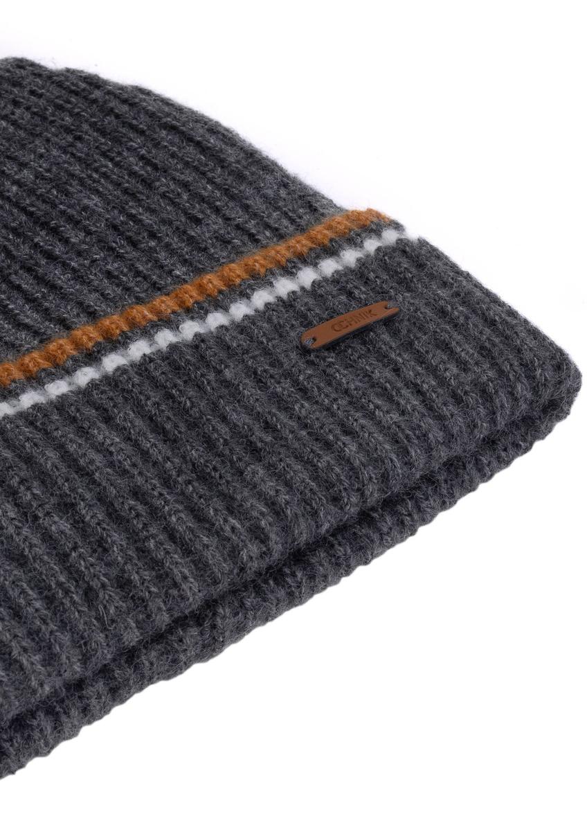 Gray men's winter hat CZAMT-0075-91(Z24)