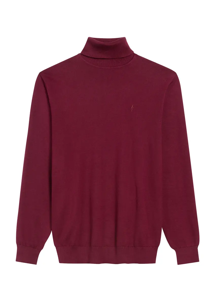 Bordowy sweter męski z golfem SWEMT-0095B-49(Z25)