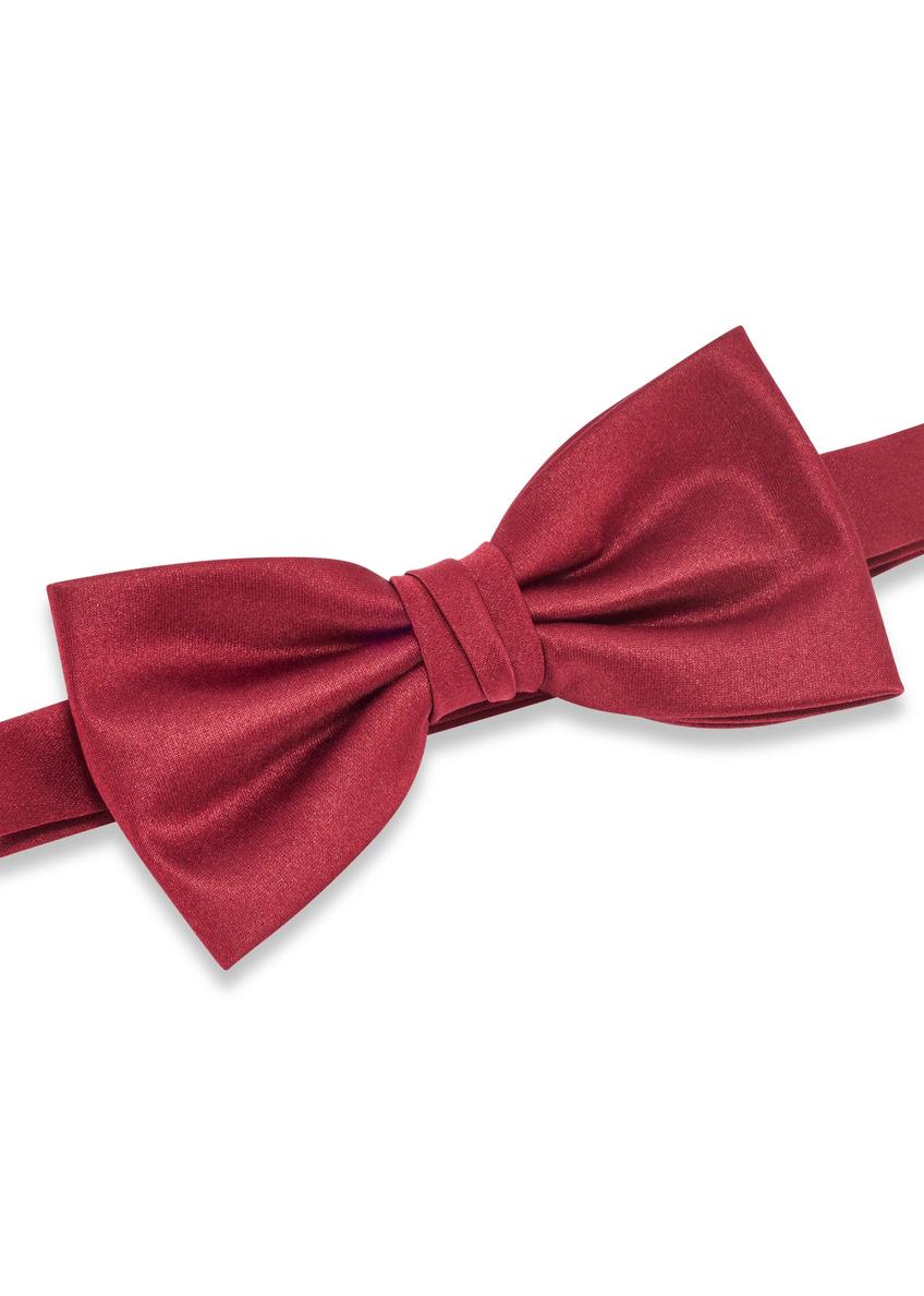 Bordowa mucha męska MUCMT-0006-49(Z25)