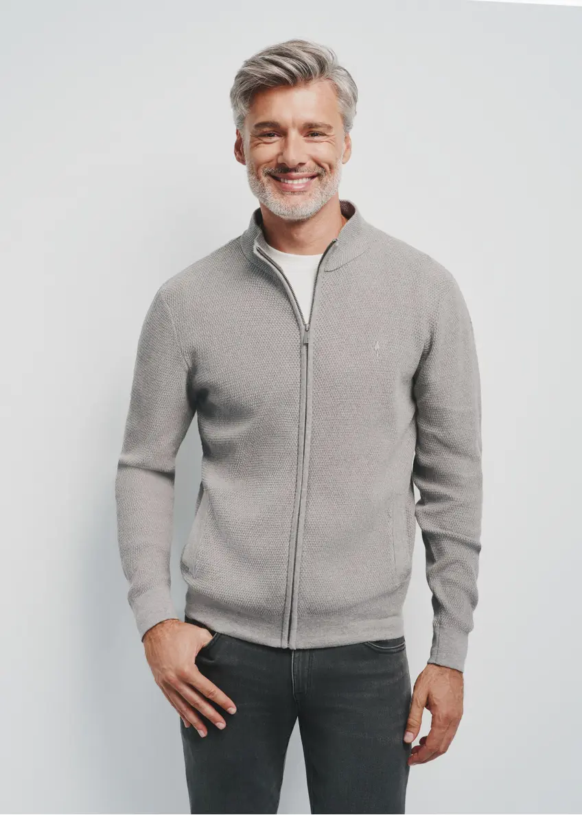 Gray men's sweater with zipper SWEMT-0137-91(Z24) pic. 1