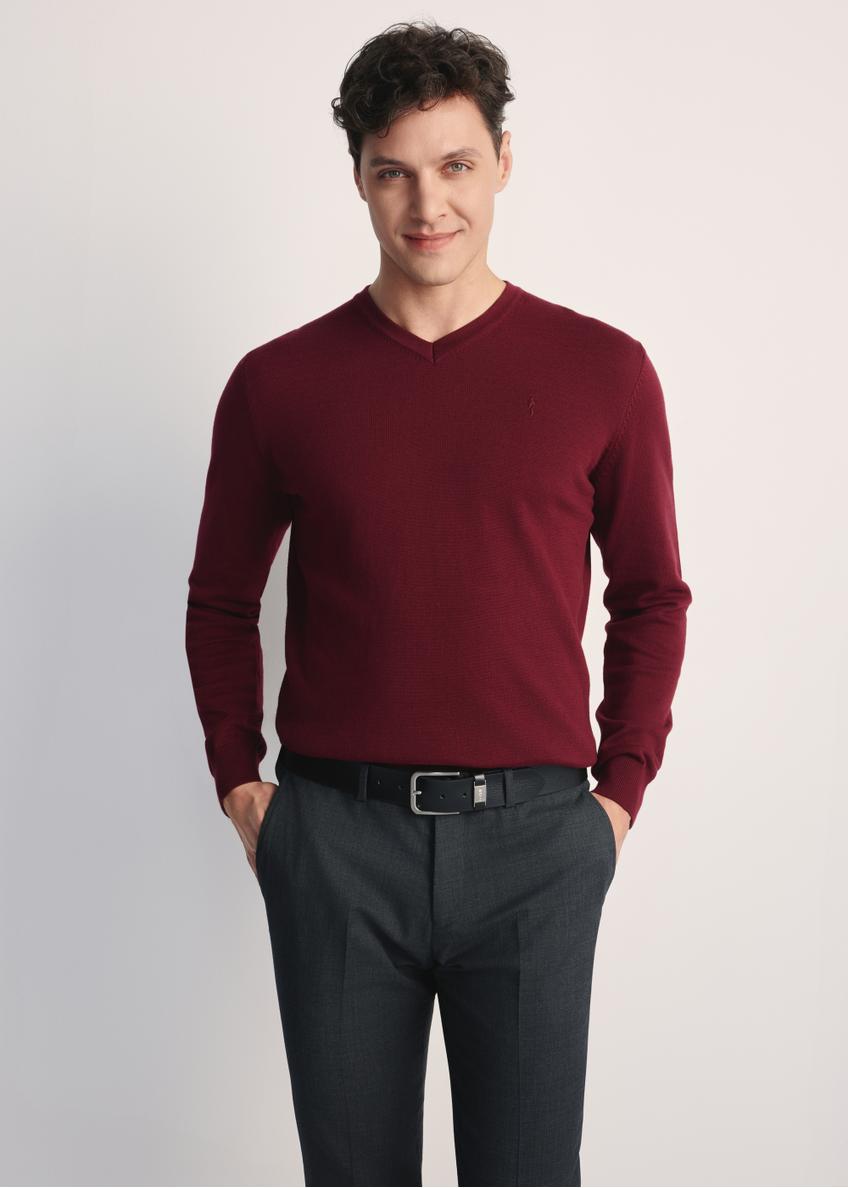 Bordowy sweter męski z logo SWEMT-0159A-49(Z25), widok prosuktu z przodu na modelu. Widoczna połowa sylwetki.